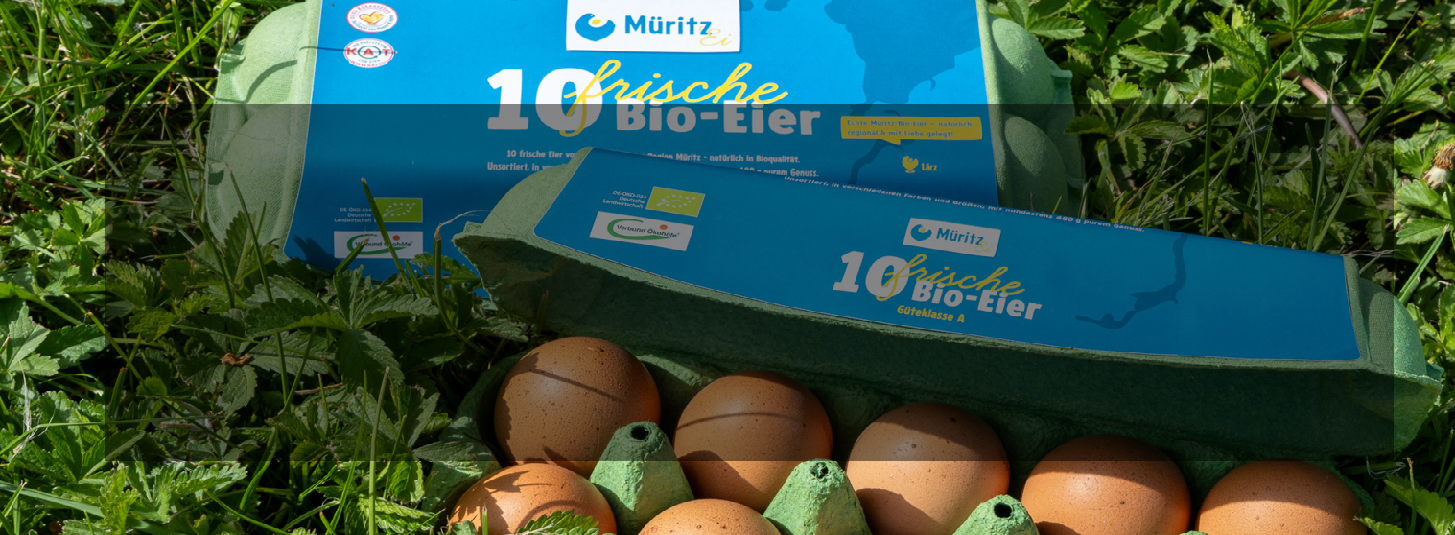 The image shows cartons of eggs labeled "10 frische Bio-Eier" from Meier. One carton is open, displaying brown eggs inside. The cartons are set on grass.