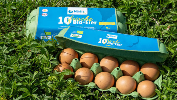 The image shows two cartons of eggs labeled "frische Bio-Eier" from "Mitwitz" placed on grass. One carton is open, revealing ten brown eggs inside, while the other is closed.
