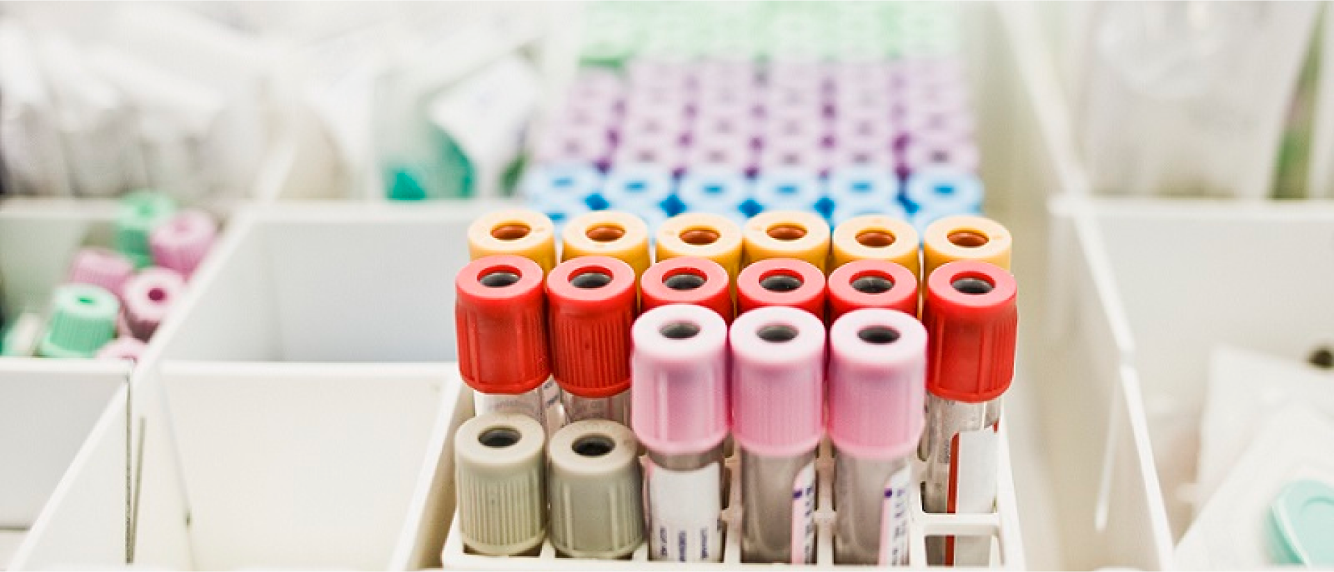 Branche Gesundheit, Pharma & Chemie Branche Gesundheit, Pharma & Chemie